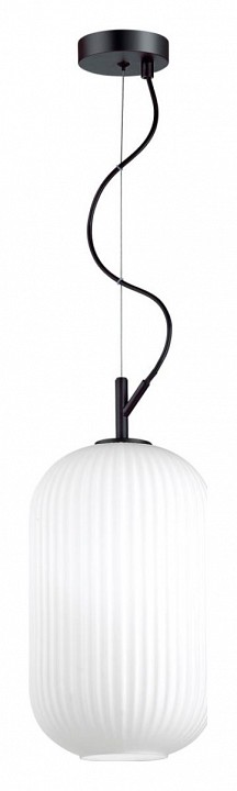 Подвесной светильник Odeon Light Roofi 4751/1