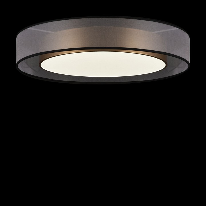 Накладной светильник Freya Zoticus FR6005CL-L48G