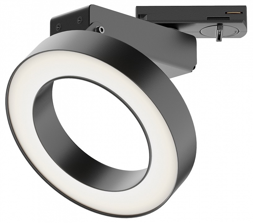 Светильник на штанге Maytoni Rim TR044-1-12W4K-B