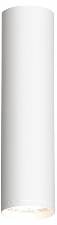 Накладной светильник Denkirs Tube DK2052-WH
