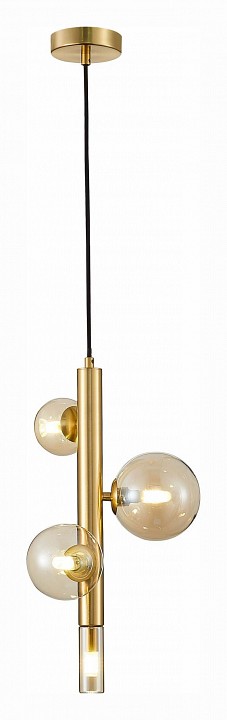 Подвесной светильник ST-Luce Cielo SL1509.203.04