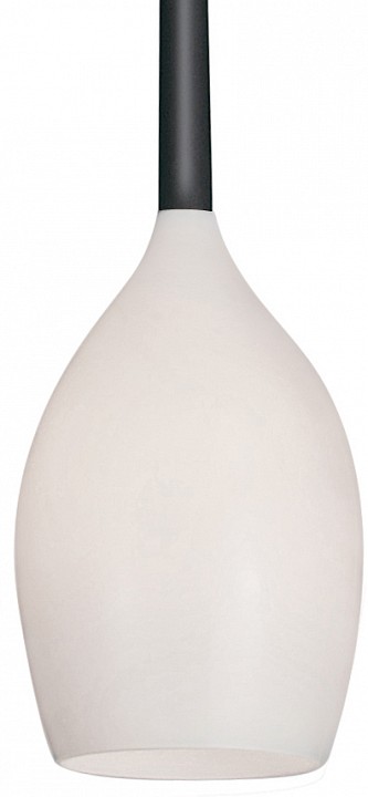 Подвесной светильник Lightstar Meta Duovo 807110