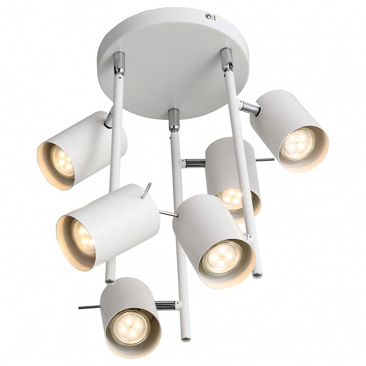 Потолочная люстра ST-Luce Fanale SL597.502.06