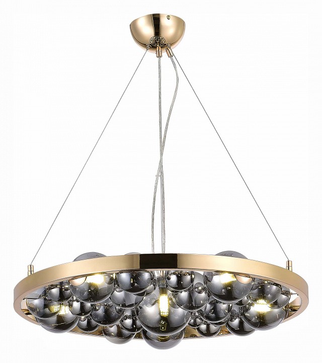 Подвесная люстра ST-Luce Olmi SL1510.203.06