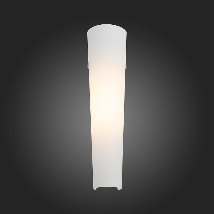 Накладной светильник ST-Luce Snello SL508.501.01