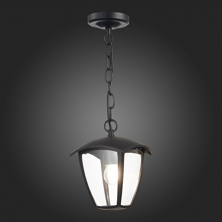 Подвесной светильник ST-Luce Sivino SL081.403.01