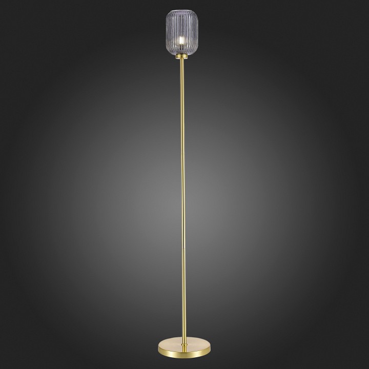 Торшер ST-Luce Gran SL1154.335.01