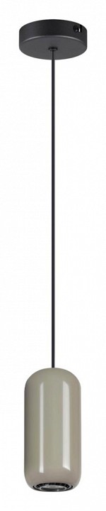 Подвесной светильник Odeon Light Ovali 5053/1D