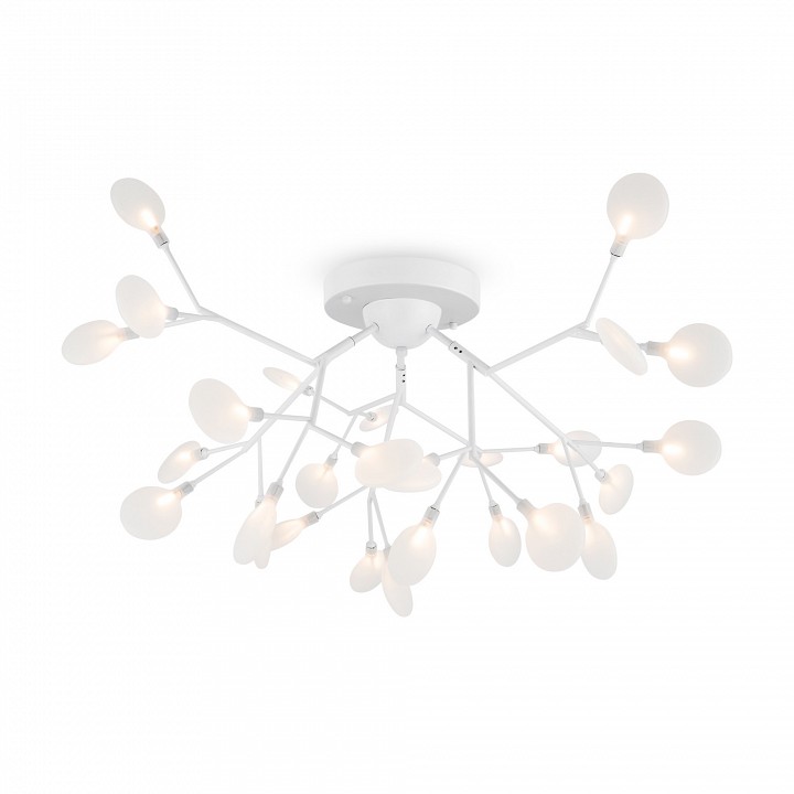 Потолочная люстра Freya Florencia FR5049CL-27W2