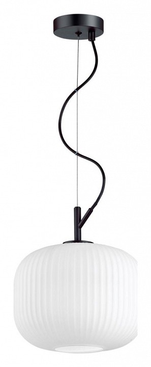 Подвесной светильник Odeon Light Roofi 4753/1