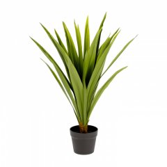 Flower Искусственная юкка 70см