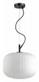Подвесной светильник Odeon Light Roofi 4754/1