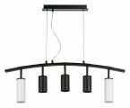 Подвесной светильник Lightstar Rullo LR735862373