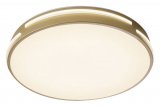 Накладной светильник Zortes Gabby ZRS.90610.40