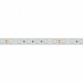 Лента светодиодная Arlight RTW герметичная 036463