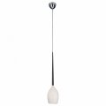 Подвесной светильник Lightstar Meta Duovo 807110