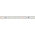 Лента светодиодная Arlight  024529(2)