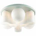 Потолочная люстра ST-Luce Schiuma SL539.502.09