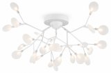 Потолочная люстра Freya Florencia FR5049CL-27W2