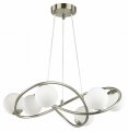 Подвесная люстра Odeon Light Slota 4807/6