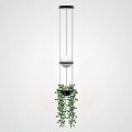 Подвесной светильник Imperiumloft Palma Wall Lamp 22.93727