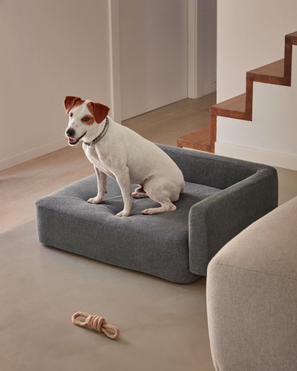 Bowie cover for small bed for pets in dark grey