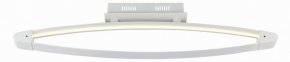 Накладной светильник ST-Luce SL920 SL920.102.01