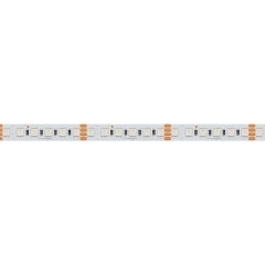 Лента светодиодная Arlight  026834(2)