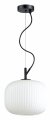 Подвесной светильник Odeon Light Roofi 4753/1
