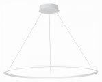 Подвесной светильник ST-Luce ST604 OUT ST604.543.57