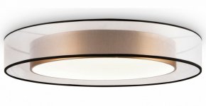 Накладной светильник Freya Zoticus FR6005CL-L48G