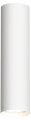 Накладной светильник Denkirs Tube DK2052-WH