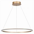 Подвесной светильник ST-Luce ST604 OUT ST604.243.34