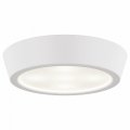 Накладной светильник Lightstar Urbano mini 214702