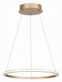 Подвесной светильник ST-Luce ST604 OUT ST604.243.22