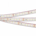 Лента светодиодная Arlight RTW герметичная 033786