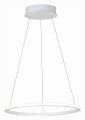 Подвесной светильник ST-Luce ST604 OUT ST604.543.22