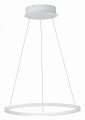 Подвесной светильник ST-Luce ST604 OUT ST604.543.22