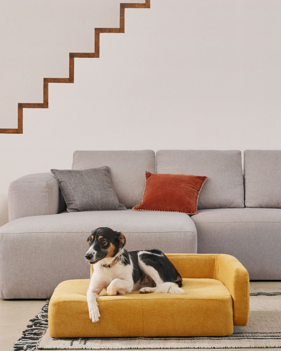 Bowie cover for large bed for pets in mustard