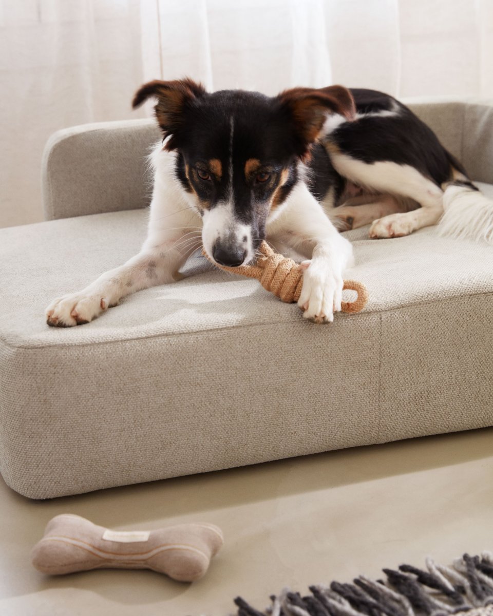 Bowie cover for large bed for pets in beige