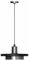 Подвесной светильник ST-Luce Oltarno SL1212.403.01